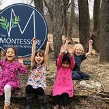 berkshire montessori|montessori schools in ma.